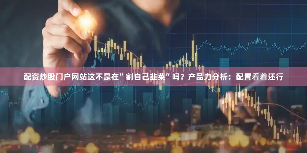 配资炒股门户网站这不是在”割自己韭菜”吗？产品力分析：配置看着还行