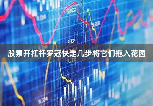 股票开杠杆罗冠快走几步将它们拖入花园